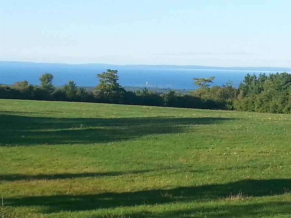 A green meadow sloping down to the blue of Georgian Bay near Collingwood