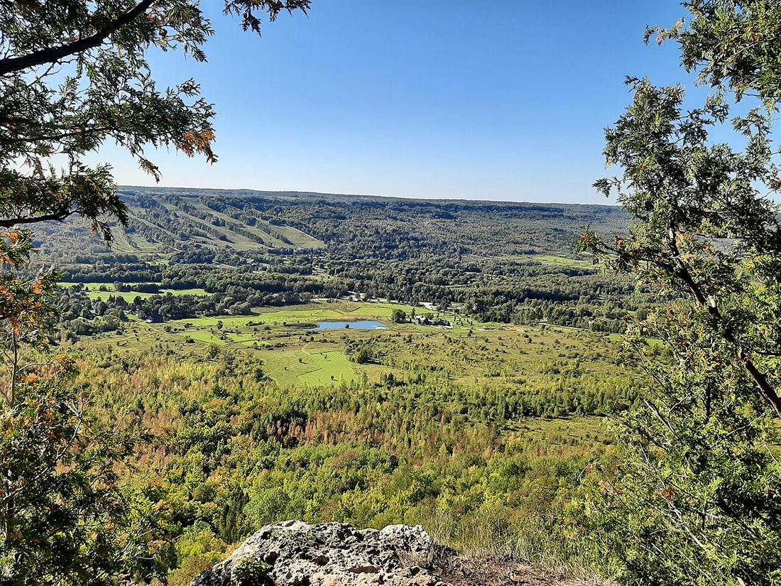 View from the Old Baldy lookout across the forested Beaver Valley to distant ski hills