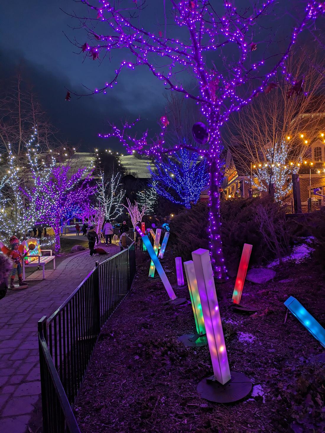 A path through Blue Mountain Village lined with trees wrapped in purple and white lights